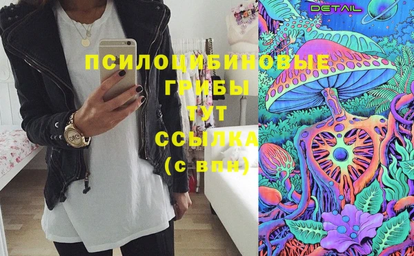 твердый Краснослободск