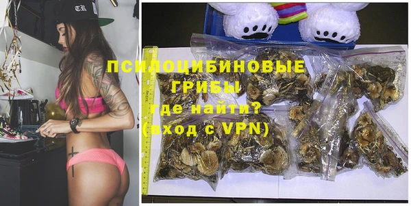 твердый Краснослободск