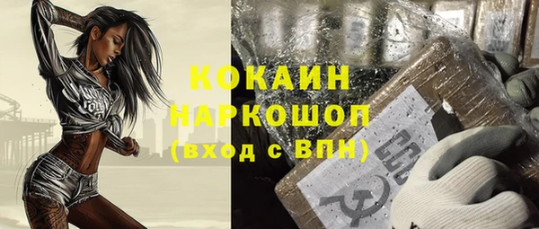 твердый Краснослободск