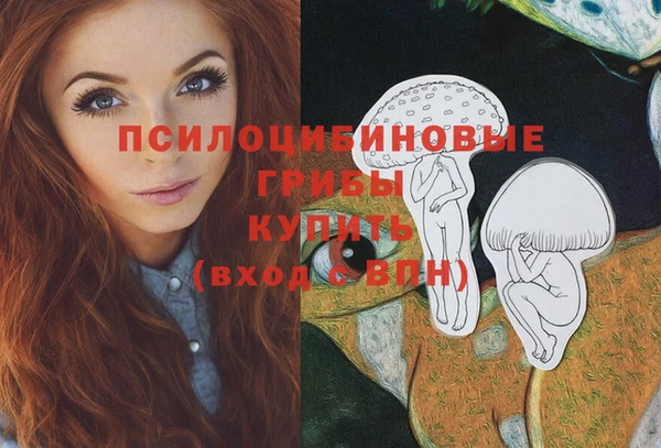 дурь Краснотурьинск