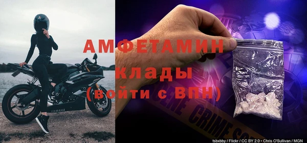 твердый Краснослободск