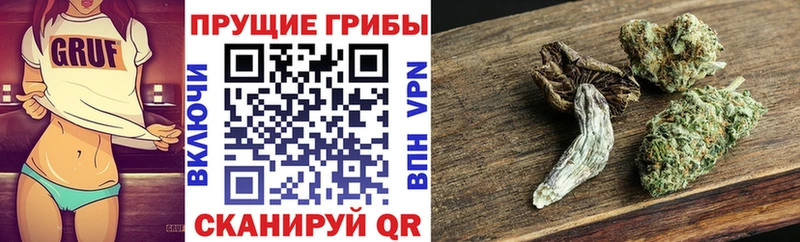 Галлюциногенные грибы Magic Shrooms  Купить закладки  Находка 